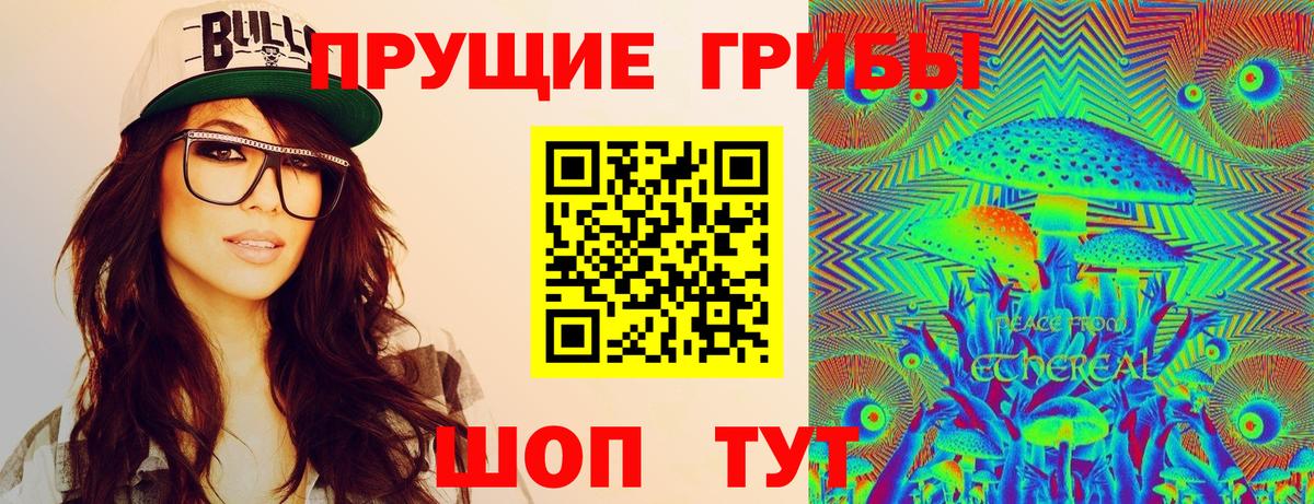 Миасс  Псилоцибиновые грибы Psilocybe  Вход с VPN  Псилоцибиновые грибы Psilocybine cubensis 